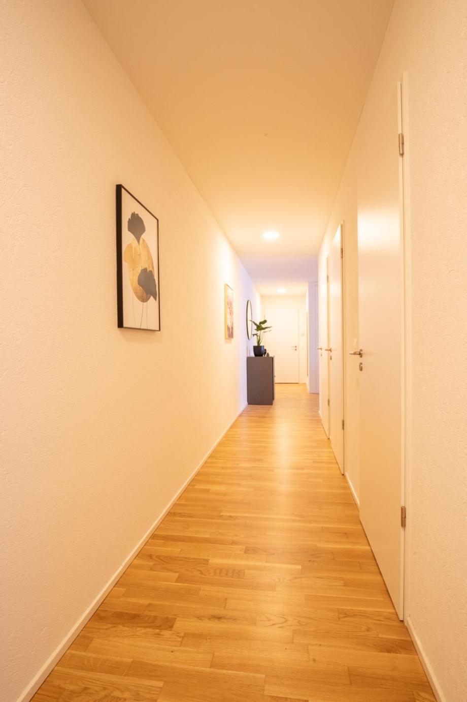 Special Einstein I Apartment Basel, Messe Kleinbasel 10-Star Экстерьер фото