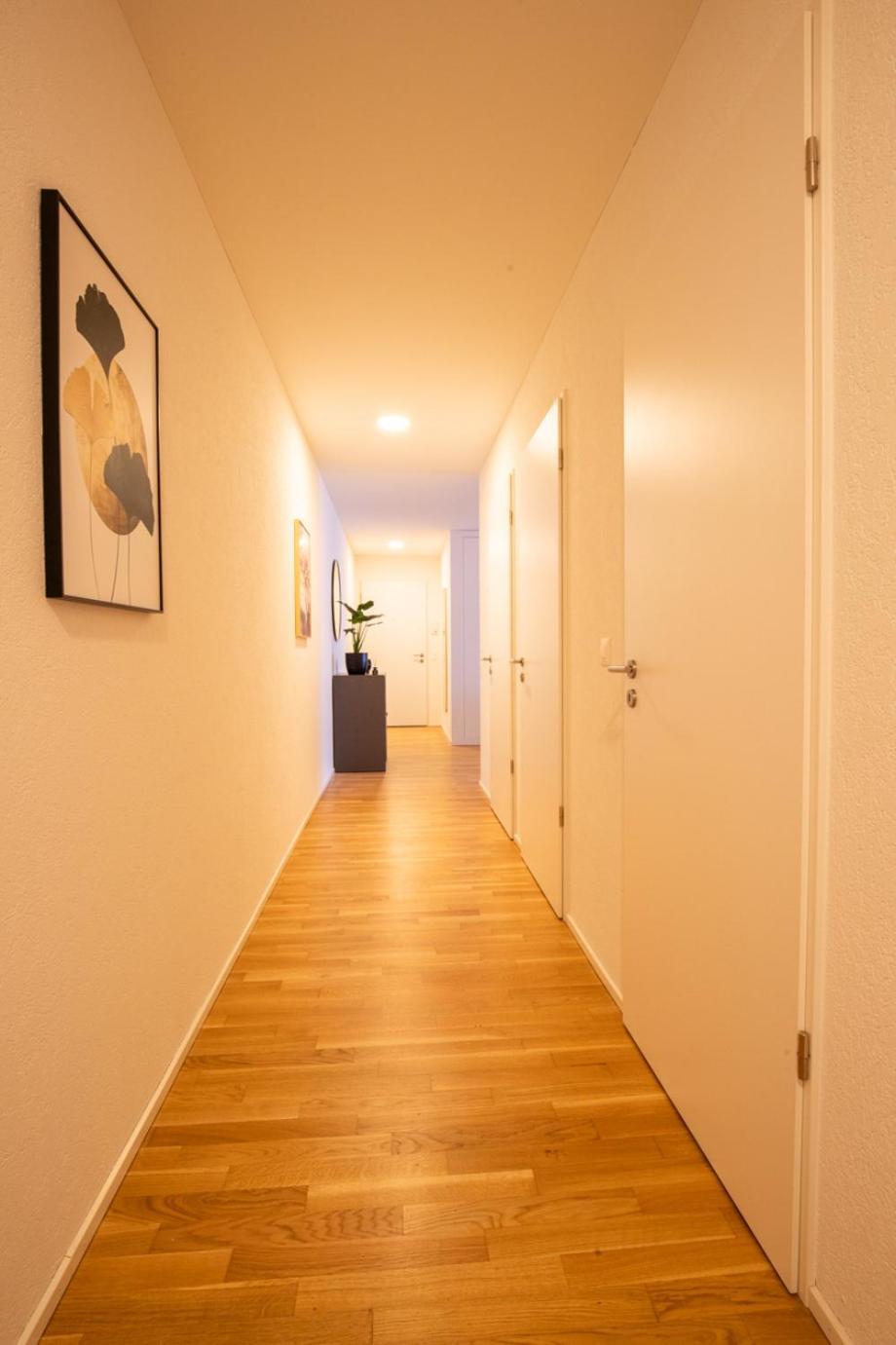 Special Einstein I Apartment Basel, Messe Kleinbasel 10-Star Экстерьер фото