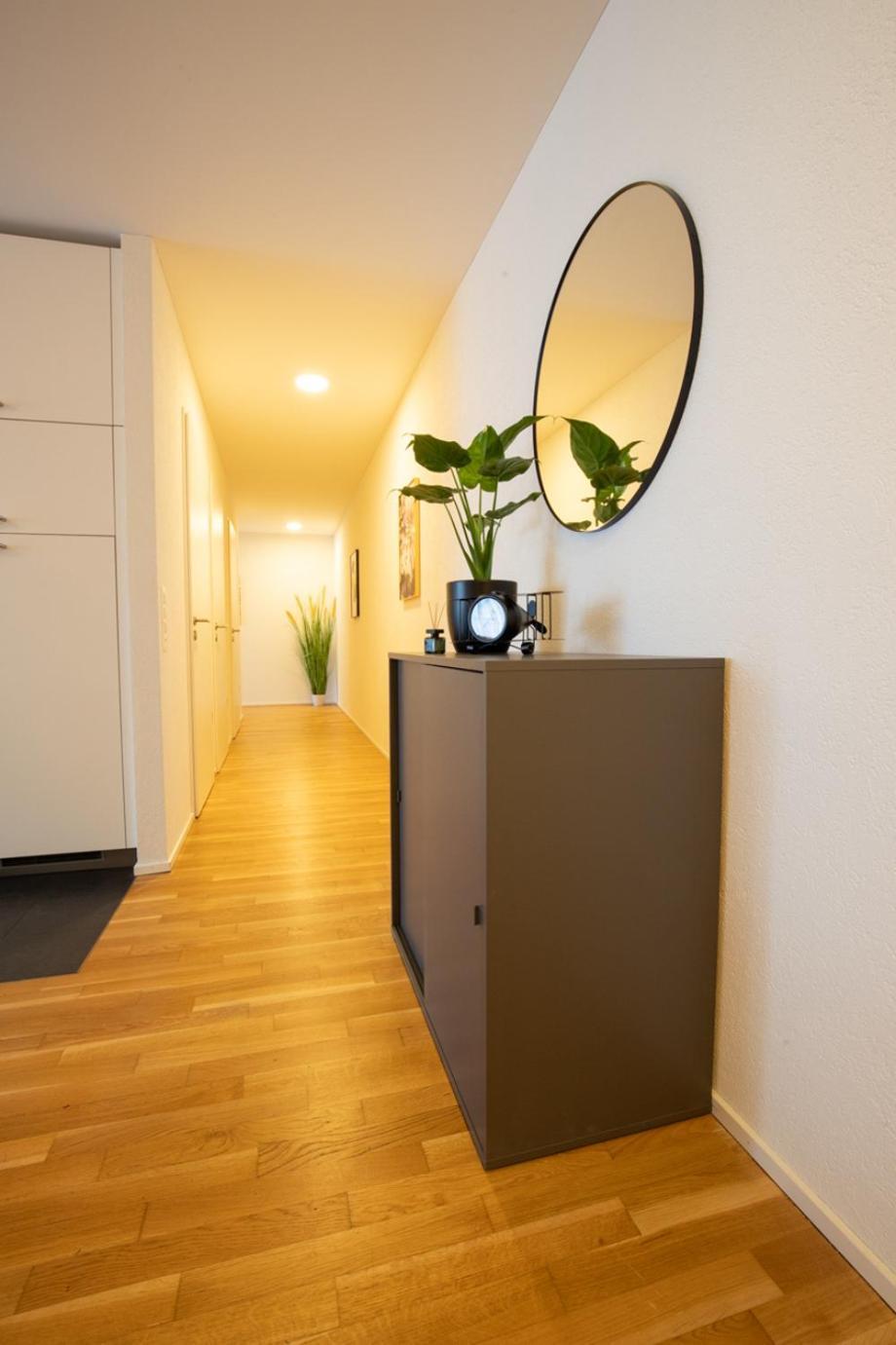 Special Einstein I Apartment Basel, Messe Kleinbasel 10-Star Экстерьер фото