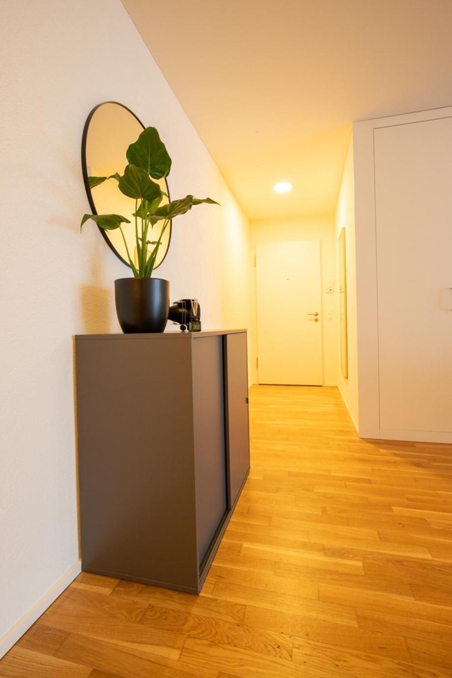 Special Einstein I Apartment Basel, Messe Kleinbasel 10-Star Экстерьер фото