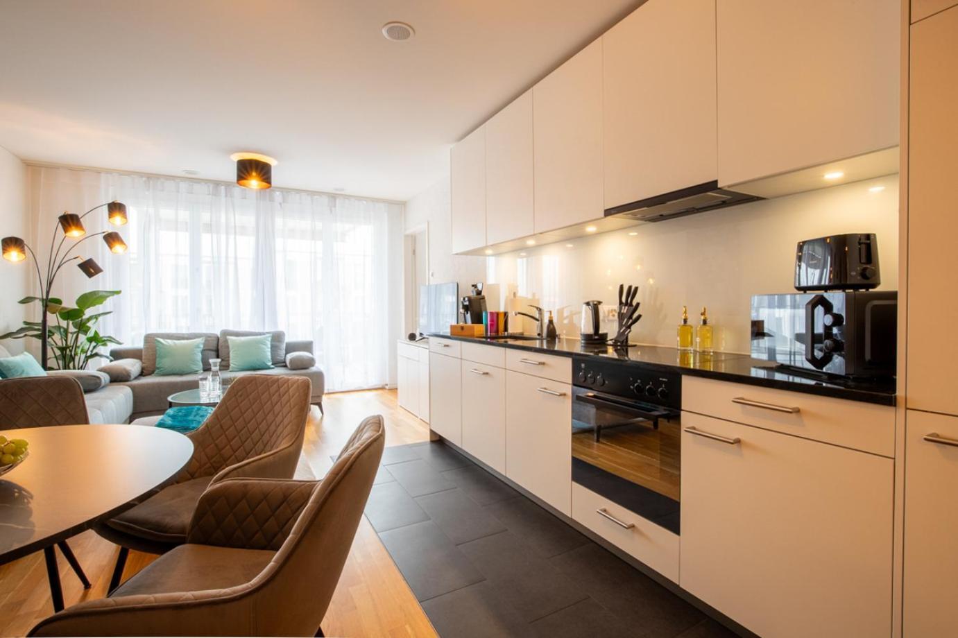 Special Einstein I Apartment Basel, Messe Kleinbasel 10-Star Экстерьер фото